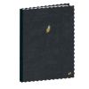 Cuadernos Rayado