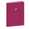 Cuadernos Rayado