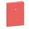 Cuadernos Rayado