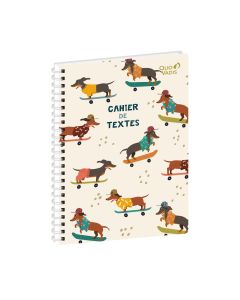 Cuadernos de textos Diario