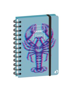 Cuadernos