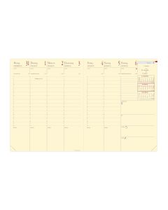 Recambios agendas Semanal
