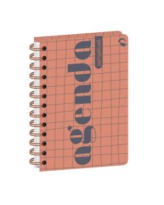 Agendas año escolar Perpetual
