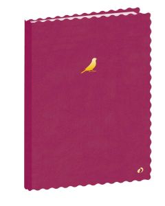 Cuadernos Rayado