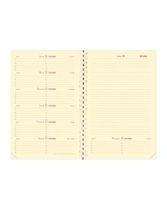 Recambios agendas Semanal