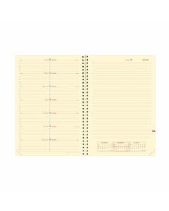 Recambios agendas Semanal