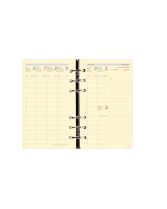Recambios organizadores Semanal