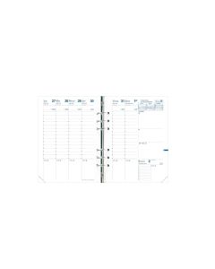 Recambios organizadores Semanal