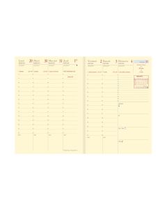 Recambios agendas Semanal