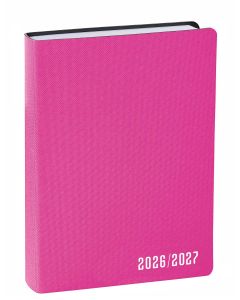 Agendas año escolar Diario