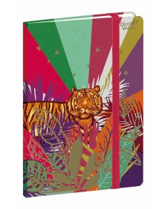 Cuadernos Rayado