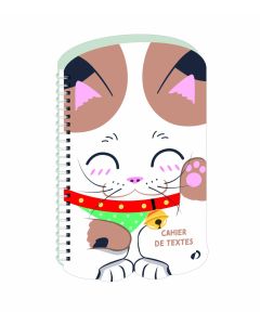 Cuadernos de textos Diario