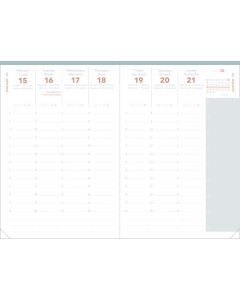Recambios agendas Semanal