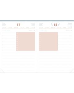 Recambios agendas Diario