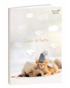 Cuadernos de textos Diario