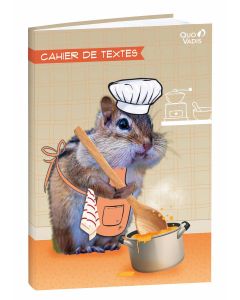Cuadernos de textos Diario