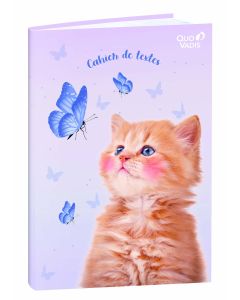 Cuadernos de textos Diario