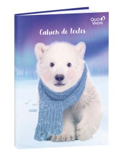 Cuadernos de textos Diario
