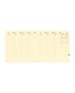 Recambios agendas Semanal