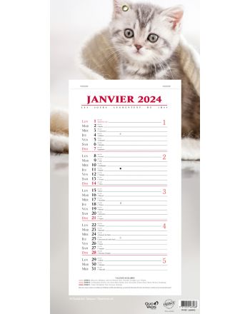 Calendarios 12 meses Animales