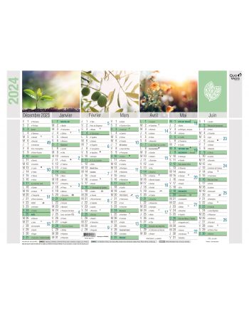 Calendarios 14 meses Equology